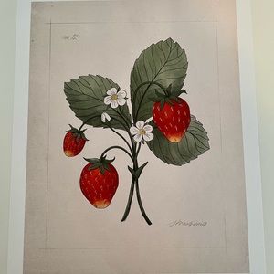 The Jilly Box Summer 2022 Wild Strawberry print